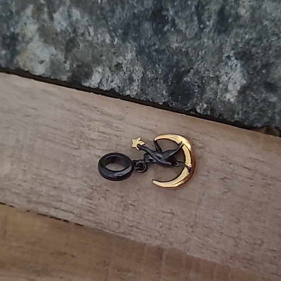 Cat holding a golden star - Picture 1 of 6